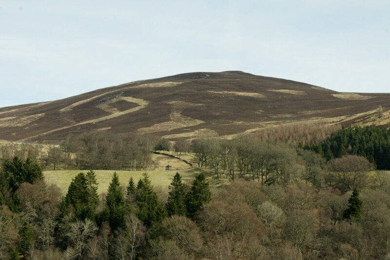 A hilly landscape with a mix of coniferous trees and open grassy areas.