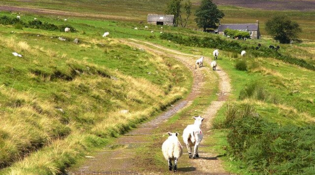 Glentarrie in Glen Prosen