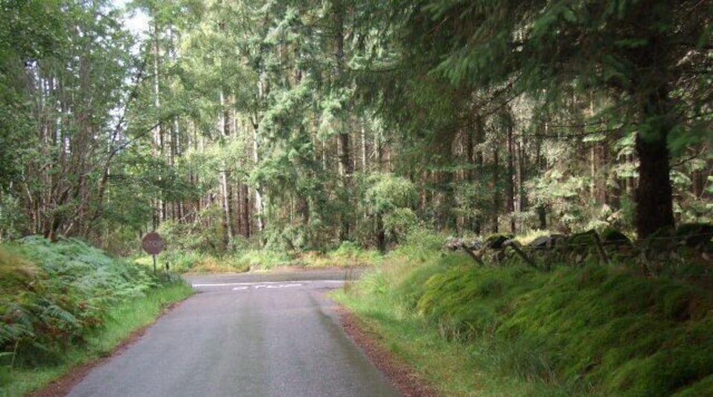 Road junction by Brathens Moss