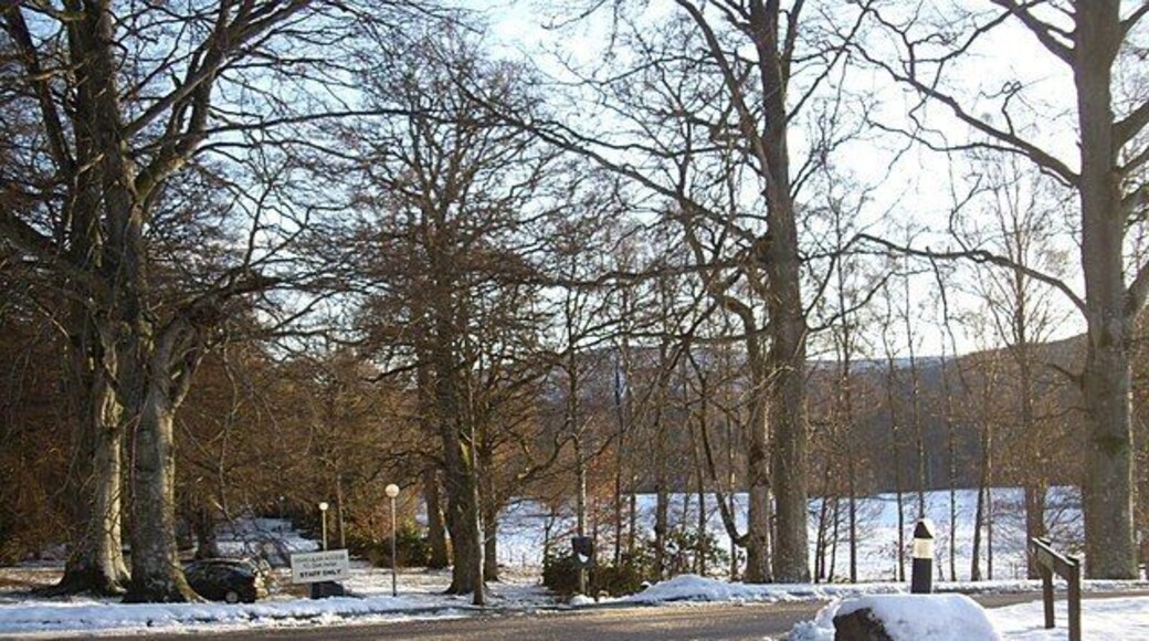 Access to staff car park at Inchmarlo House