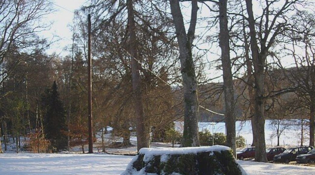 Snow on the stump In the grounds of Inchmarlo House.