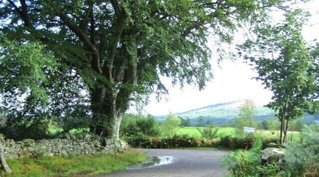 Access to Home Farm Inchmarlo.