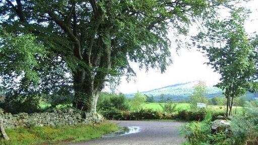 Access to Home Farm Inchmarlo.