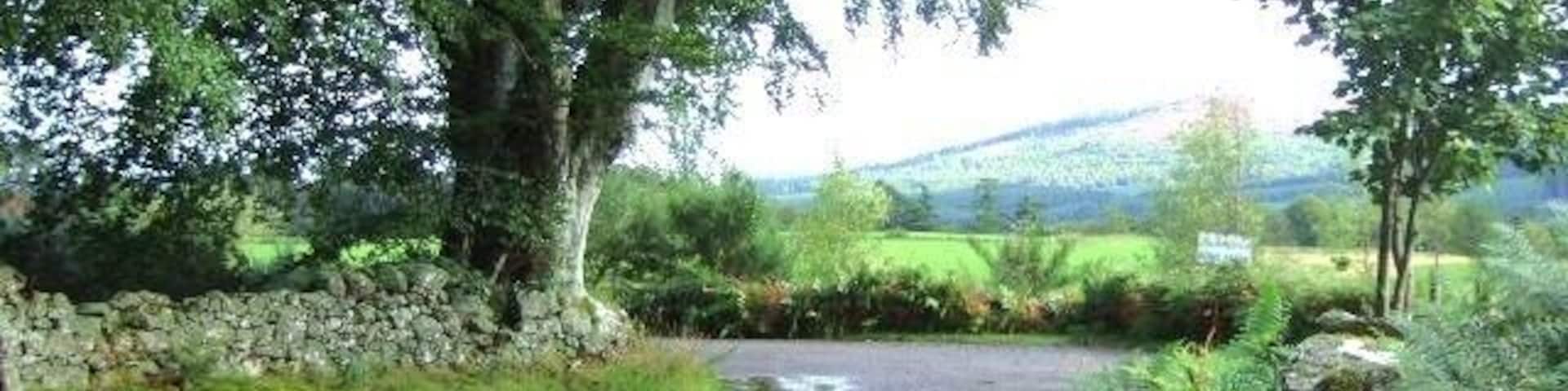 Access to Home Farm Inchmarlo.