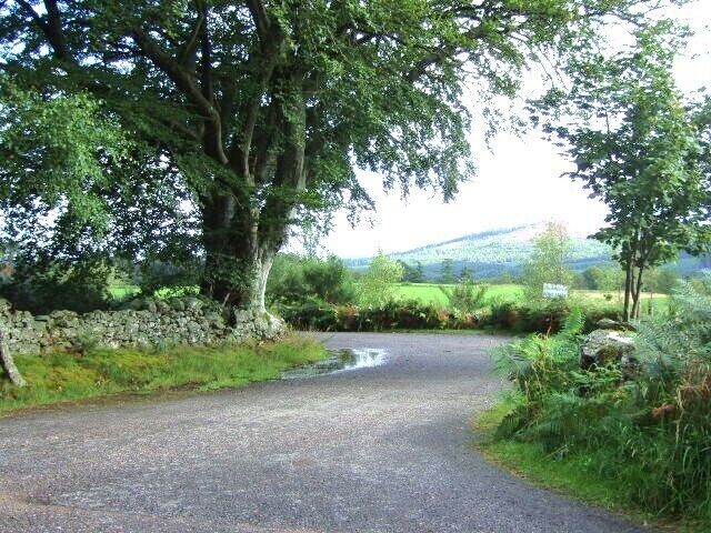 A narrow rural road winding through a green landscape with stone walls and large trees.