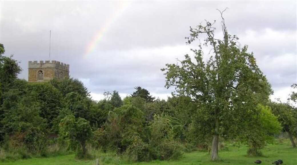 Orchard, Ilmington In the background is St Mary's Church