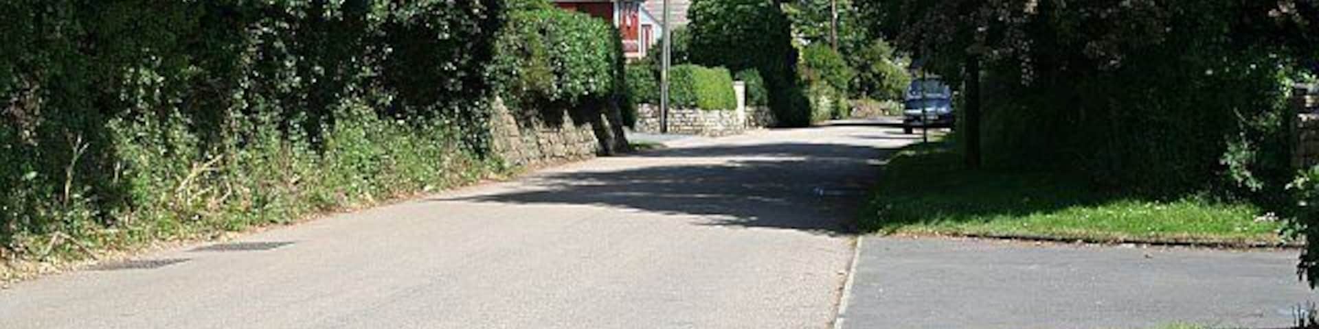 Alexandra Road, Illogan. This road is lined with large or expensive houses set back from the road behind high hedges.