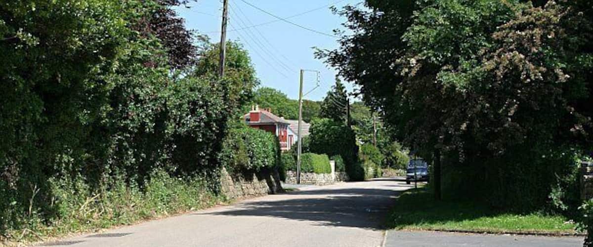 A rural road flanked by trees and a red building in the distance.
