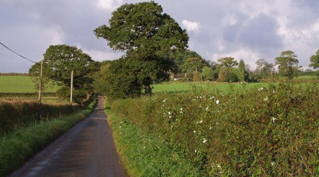 Lane to Weekmore Cross Late convolvulus is conspicuous in the hedge on the right. The lane connects the B3217 at Waldons Cross with a parallel lane. The almost-detectable remnants of a rainbow are fading above the left-hand tree.