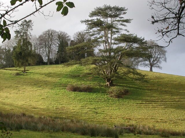 Parkland, Devon Lodge, near Iddesleigh