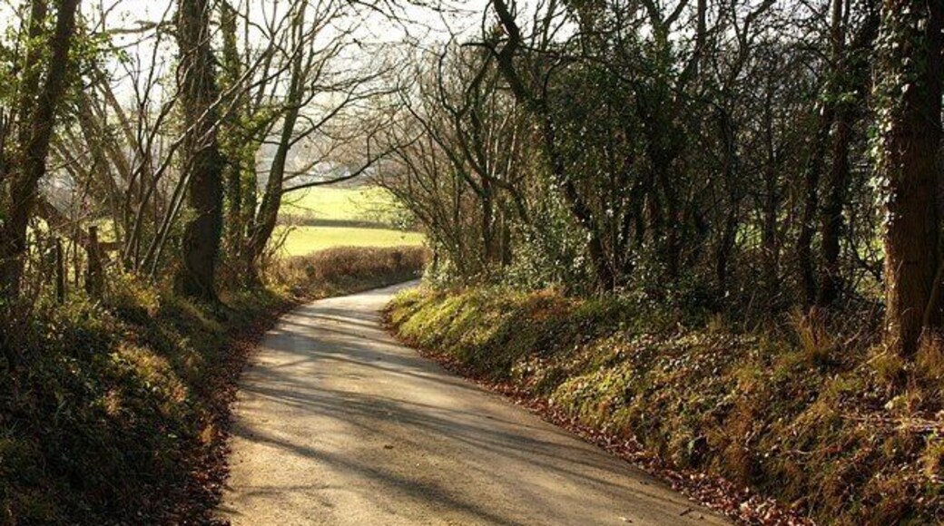 Lane to Snead. The lane from which 1107085 was taken drops between banks and trees towards the Camlad valley.