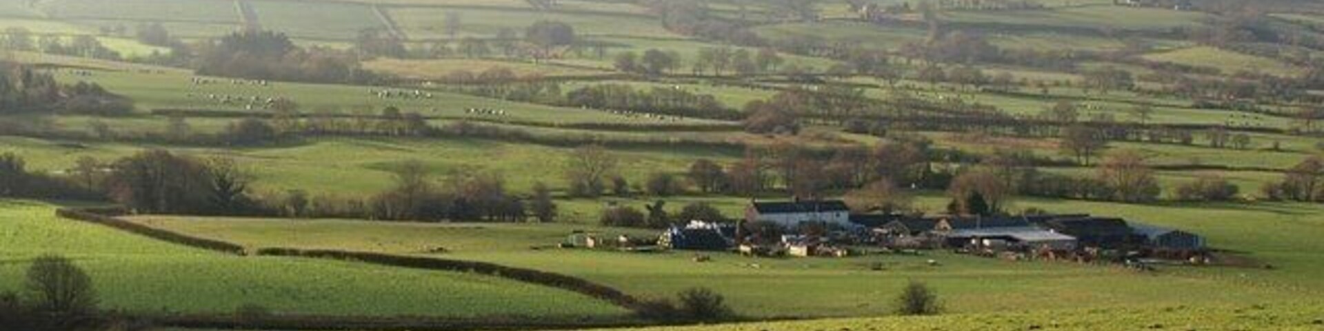 Rolling green hills, a small village with houses, and a distant hill.