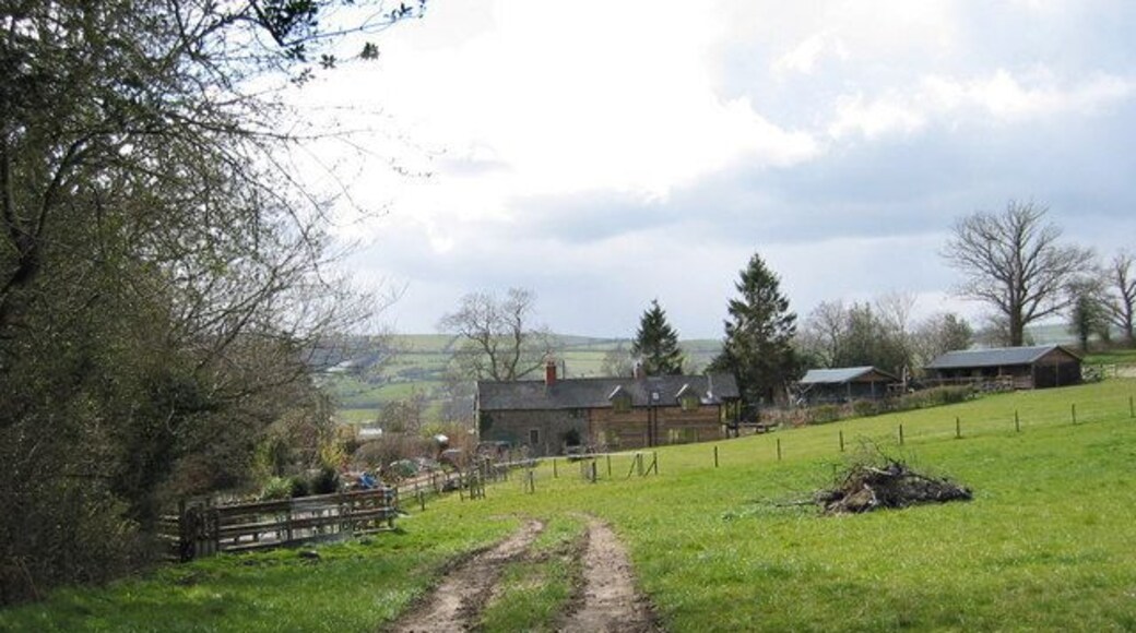 Buildings at Llanerch