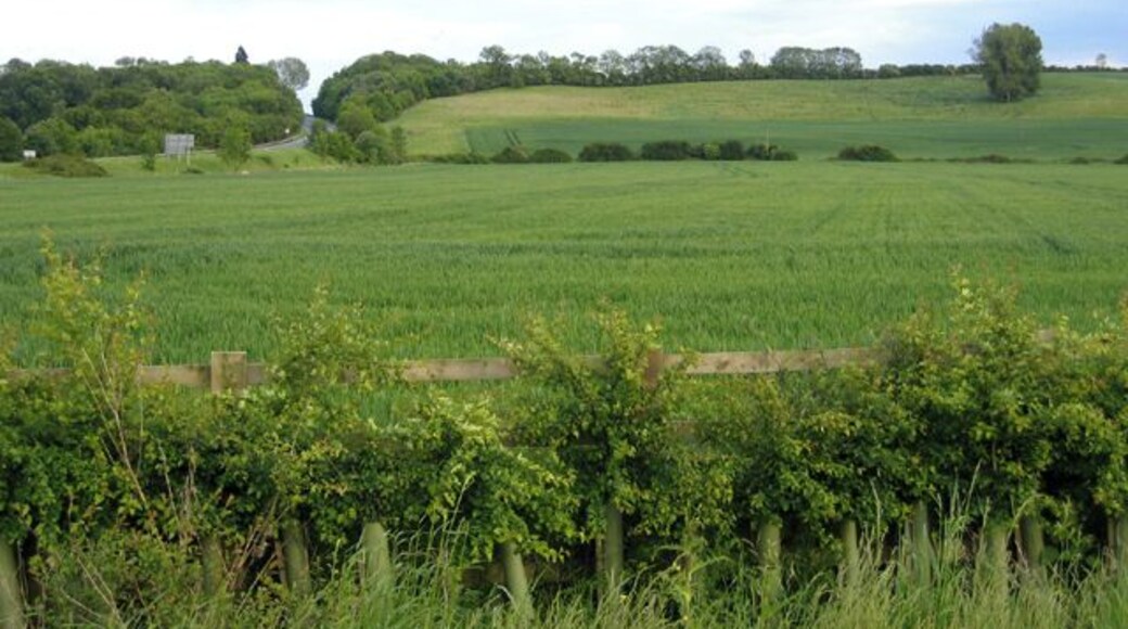 Wilstead Hill, Haynes, Beds. The A6 cuts through the Greensand escarpment.