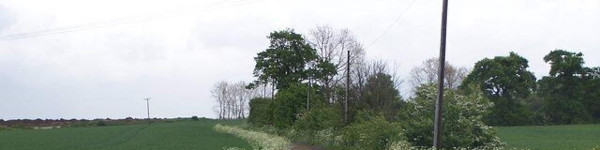 Farm Track Track to Little Thickthorn Farm