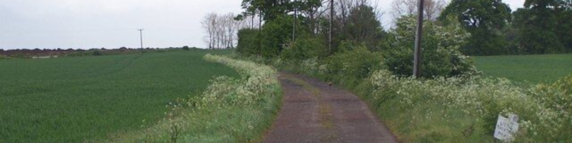 Farm Track Track to Little Thickthorn Farm