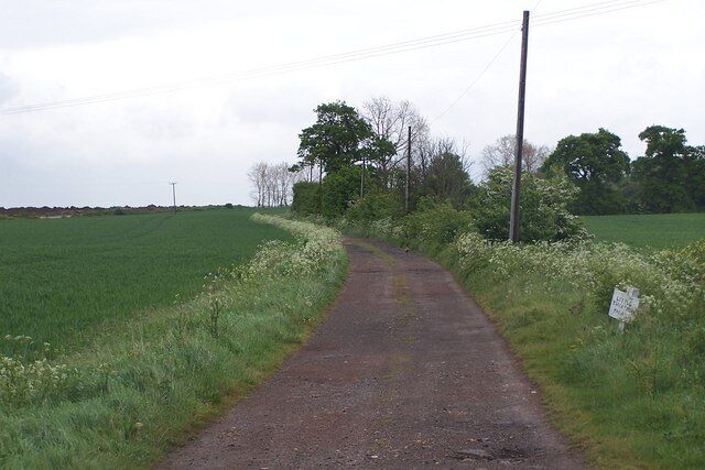 A rural dirt road curving through a green field with a signpost on the right.