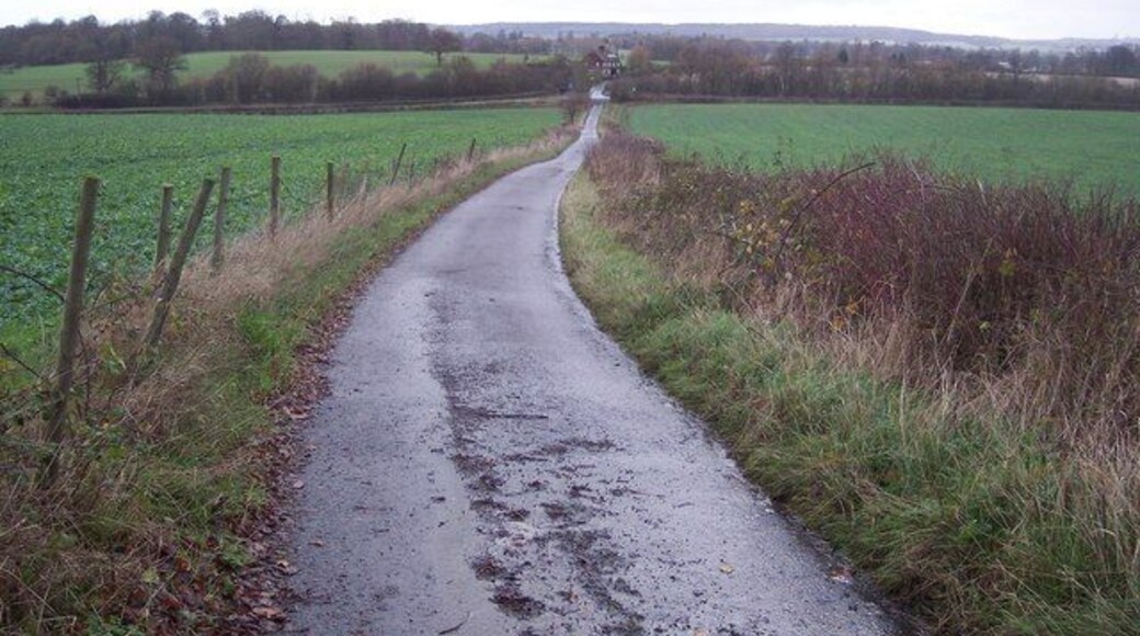 Access road to Etchden Road This track leads from Goldwell (house and Oast House) to the road. It is also a footpath to the road. The Railway Cottages are in the background.