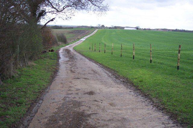 Bridleway to Court Lodge Farm This hard path leads from Goldwell Lane to the farm (in the background) on Ashford Road.