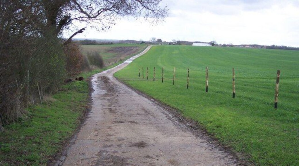Bridleway to Court Lodge Farm This hard path leads from Goldwell Lane to the farm (in the background) on Ashford Road.