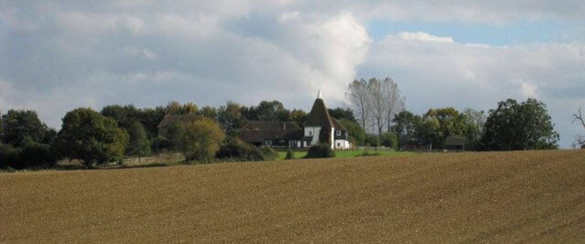 A rural landscape with a field, a white house with a conical roof, and a forest in the background.