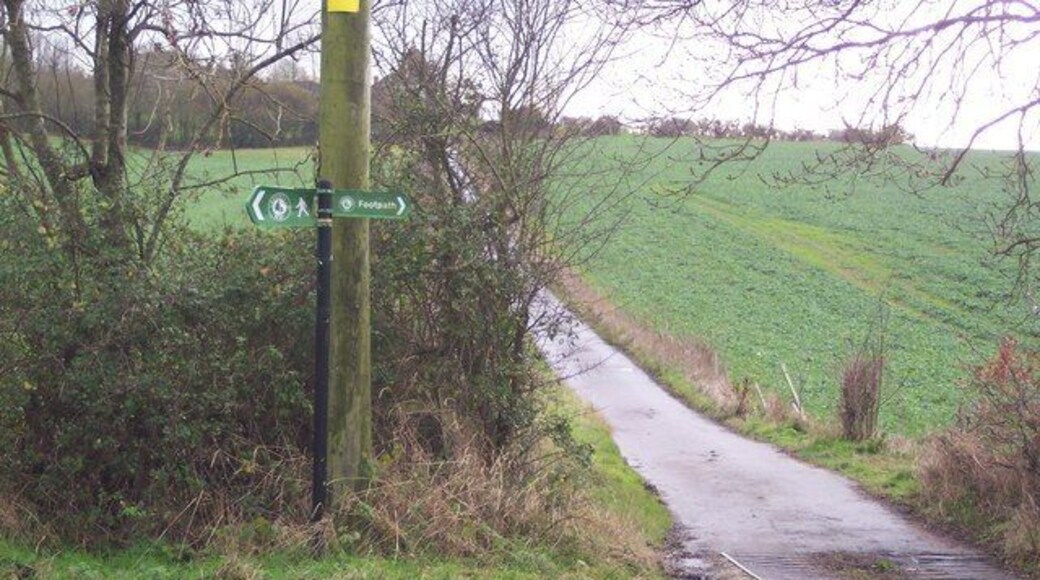 Not the Greensand Way This footpath marker on Etchden Road, shows the long distance path heading up the access road to Goldwell (and to a bridleway to Great Chart). The other section of the path heads along the road. This is all incorrect as the path heads from Godinton Park to Great Chart. As shown on OS Maps.
