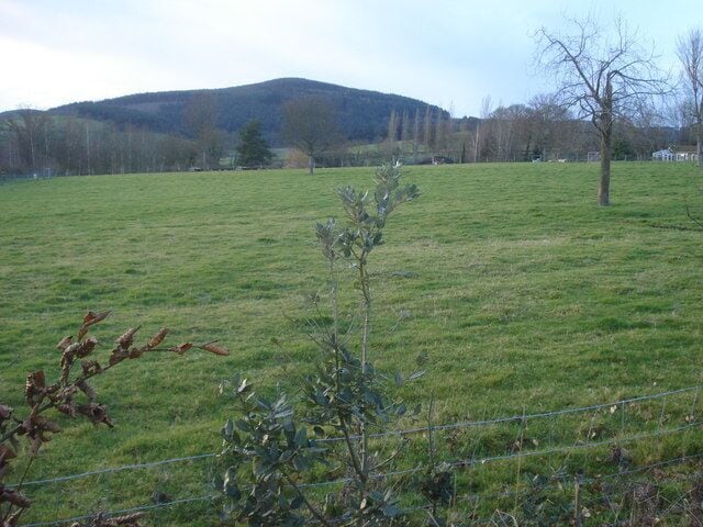 Pasture at Hoptonheath View west from the B4367 lay-by with the railway embankment in the trees and Hopton Titterhill on the horizon.