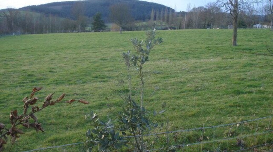 Pasture at Hoptonheath View west from the B4367 lay-by with the railway embankment in the trees and Hopton Titterhill on the horizon.