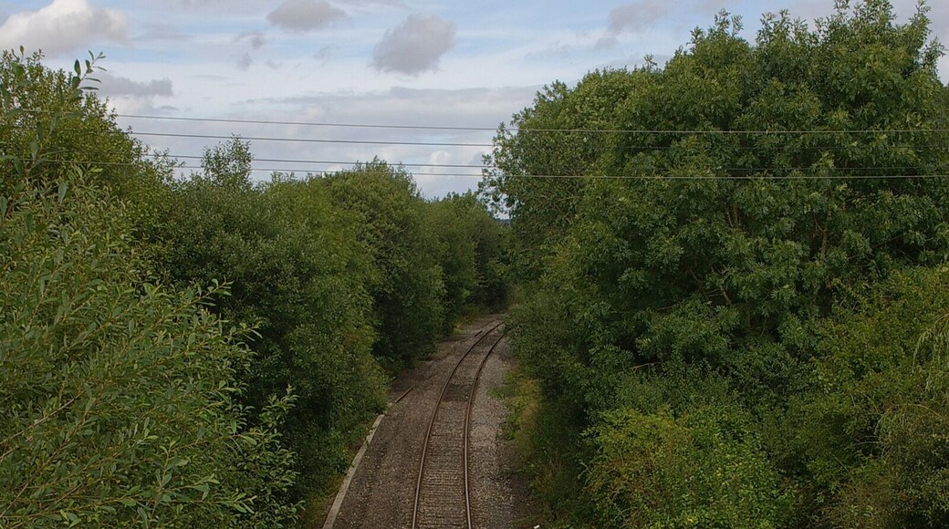 Hopton Heath railway station, looking north.