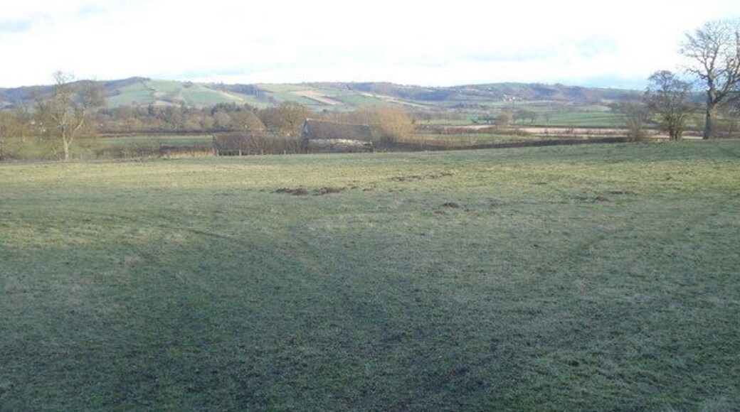 Sheep pasture north of Bedstone Looking eastwards across the Clun valley from the lane.