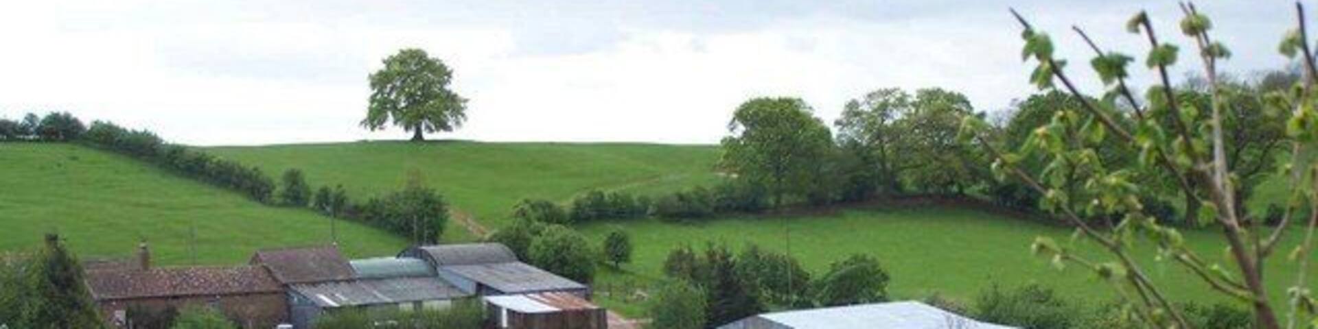 Little Wood Farm, Hopton Cangeford