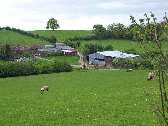 A green field with sheep, a barn, and a farmhouse.