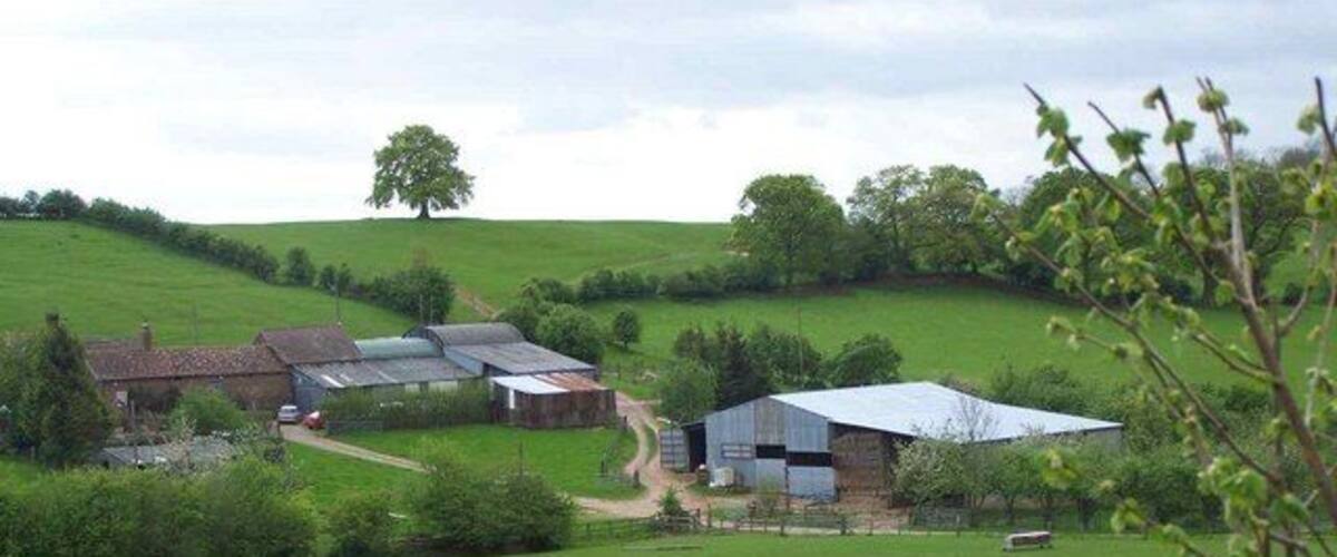 A green field with sheep, a barn, and a farmhouse.
