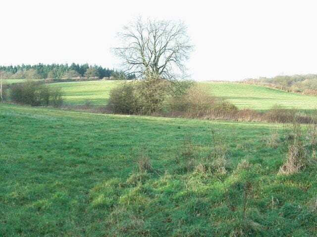 Wild's Coppice Looking across the fields from near the brook.