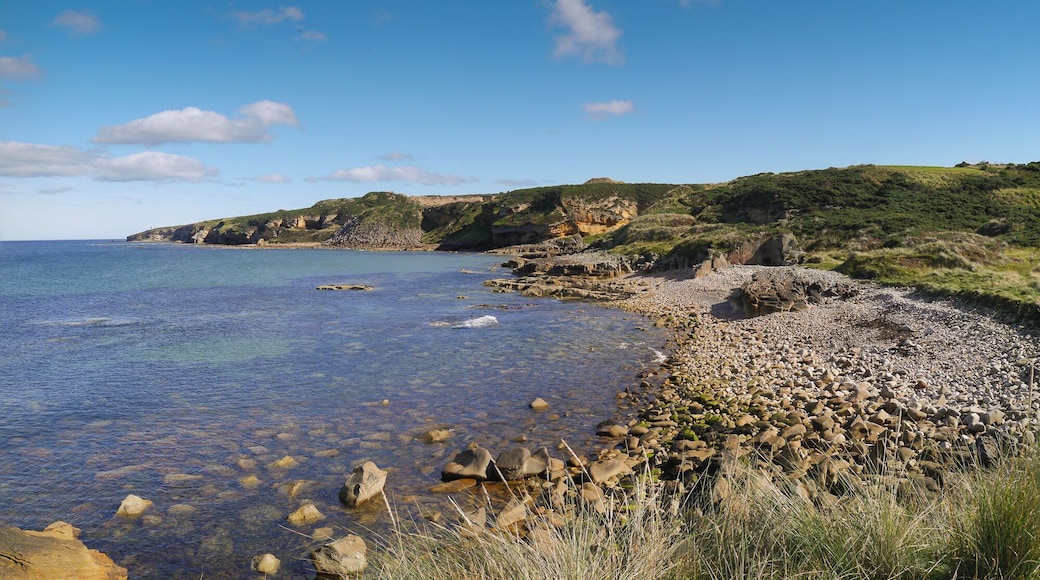 Views along the coastal path