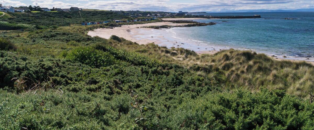 Views along the coastal path