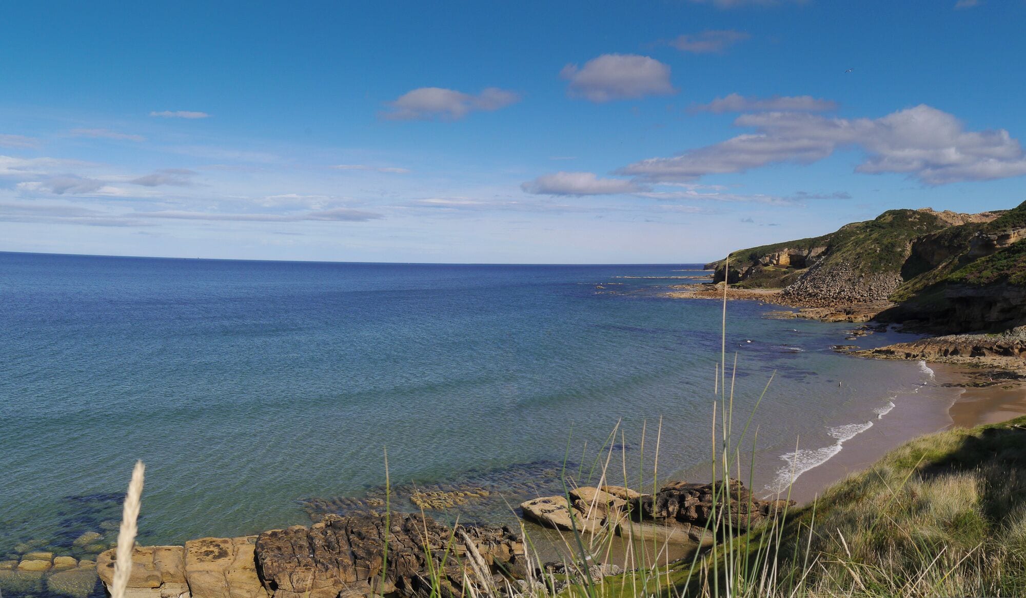 Panorama looking along the coast