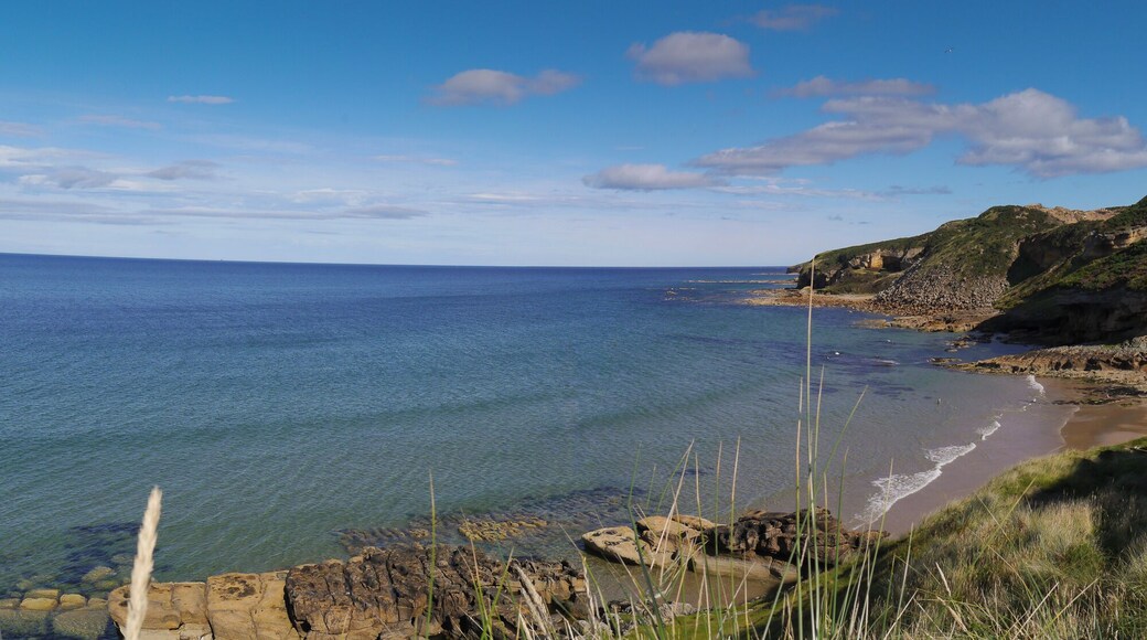 Panorama looking along the coast