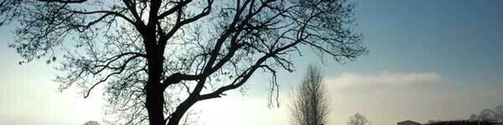 Mid-day frost on the Wenlock Edge The morning's hard frost lingers on the lane above Aston Munslow