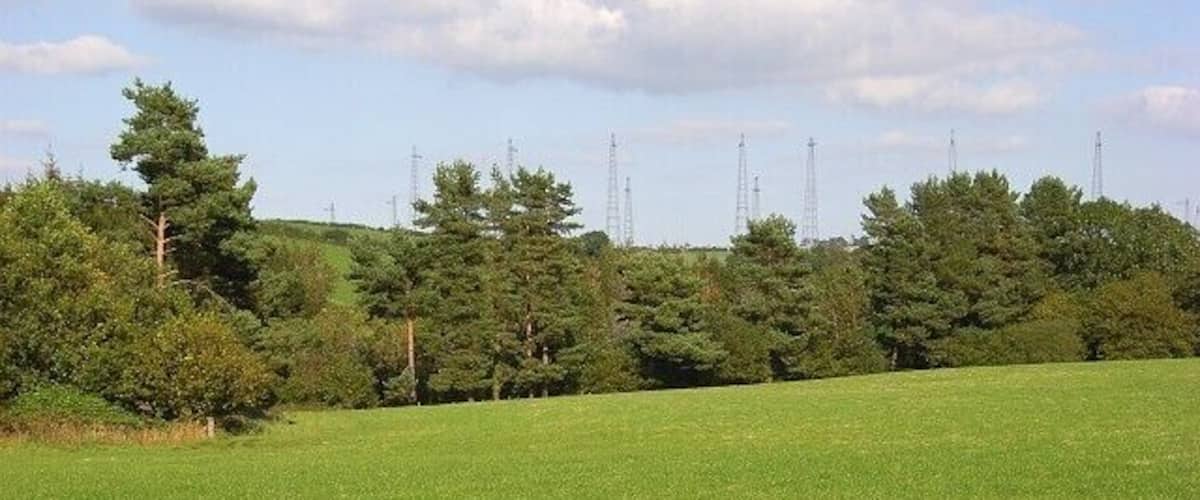 A grassy field with trees and power lines in the background.