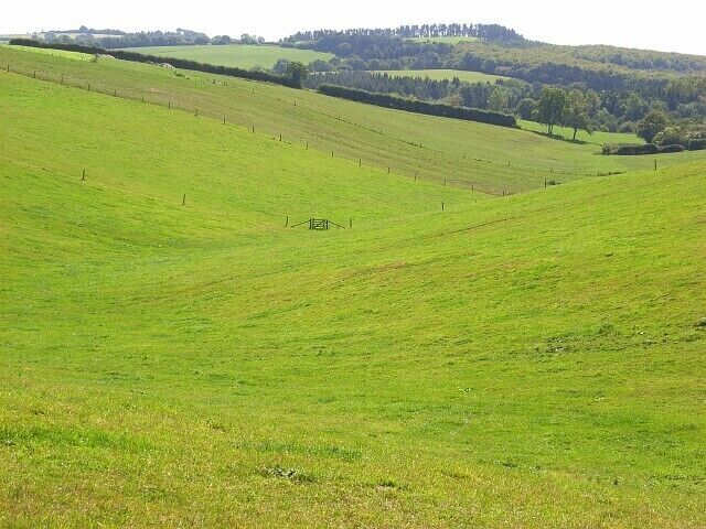 Burnt Bottom A dry valley descending to the upper reaches of the Hooke valley. Beyond that is Warren Hill and the woodland of Hooke Park.
