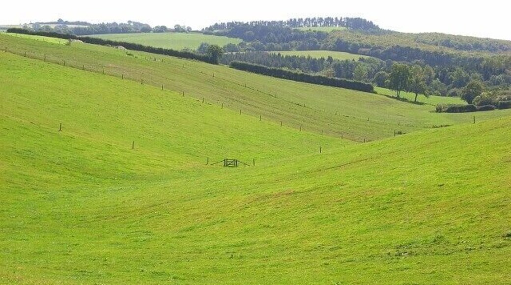 Burnt Bottom A dry valley descending to the upper reaches of the Hooke valley. Beyond that is Warren Hill and the woodland of Hooke Park.