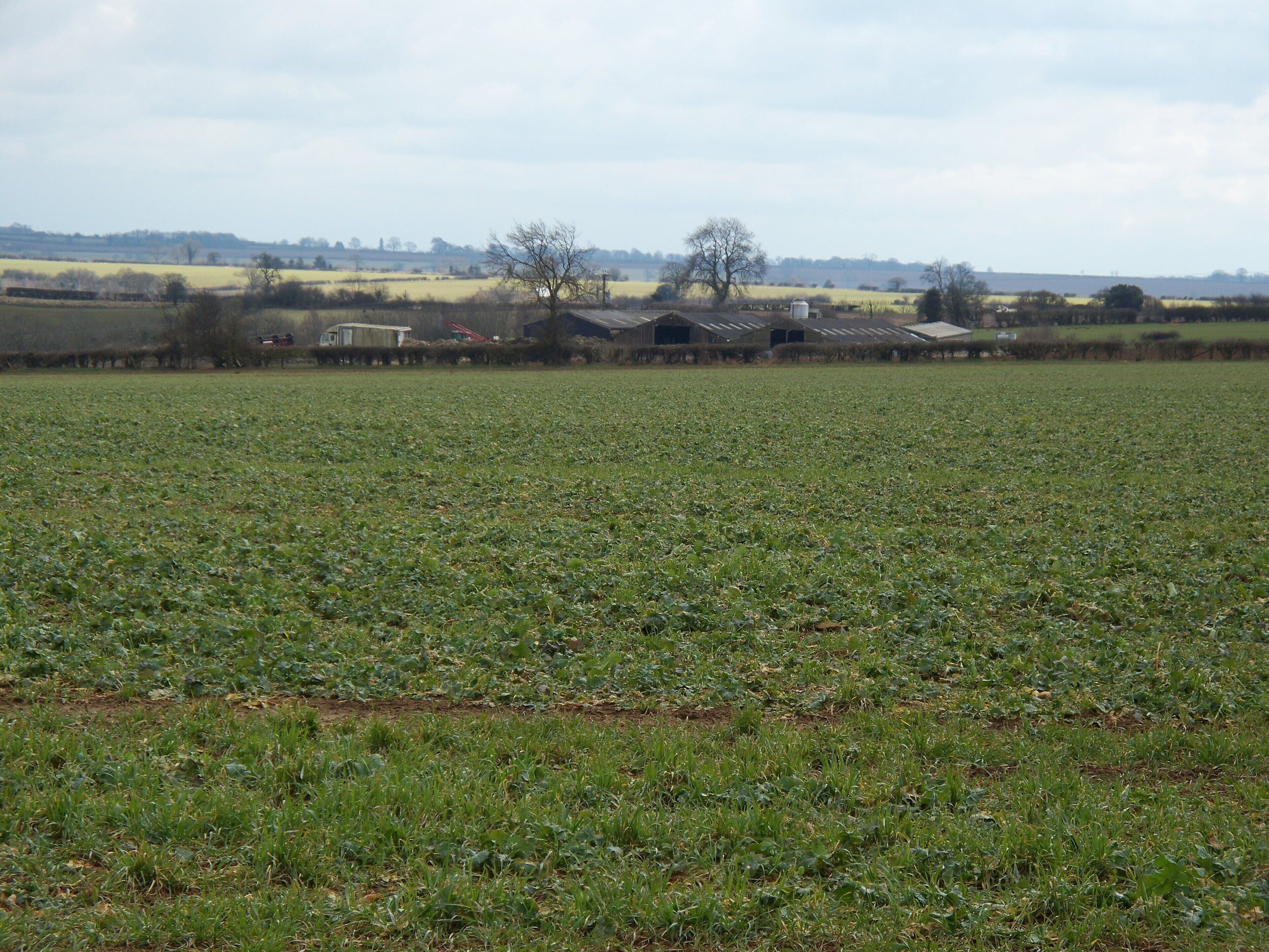 Field Barns These modern field barns are seen, across the field, from the minor road.