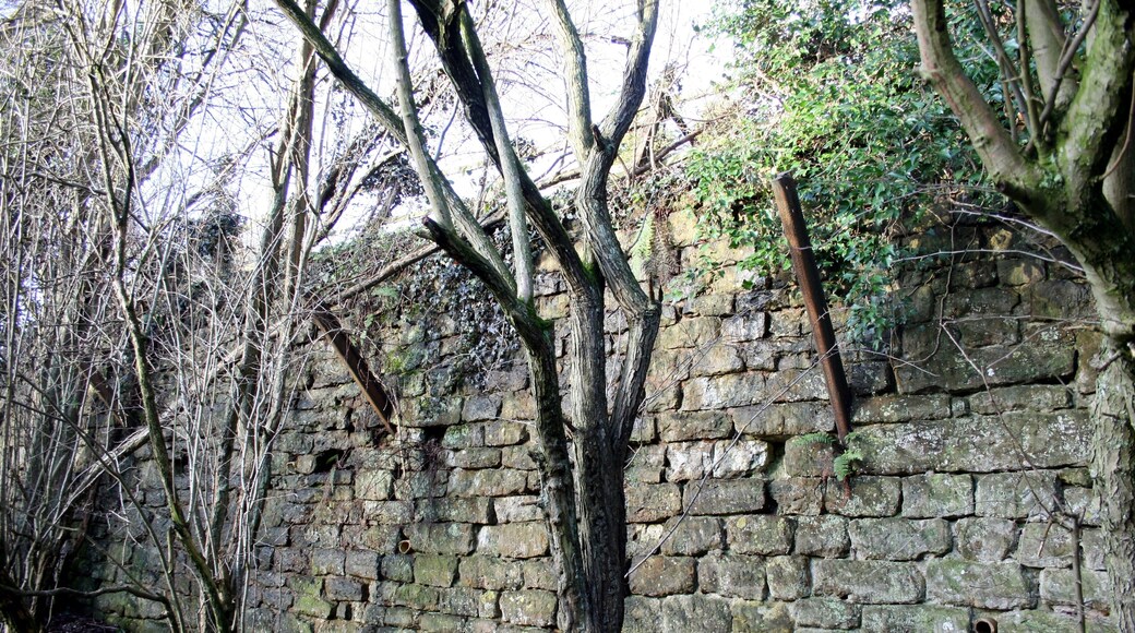 Hook Norton Ironstone Partnership tipping dock