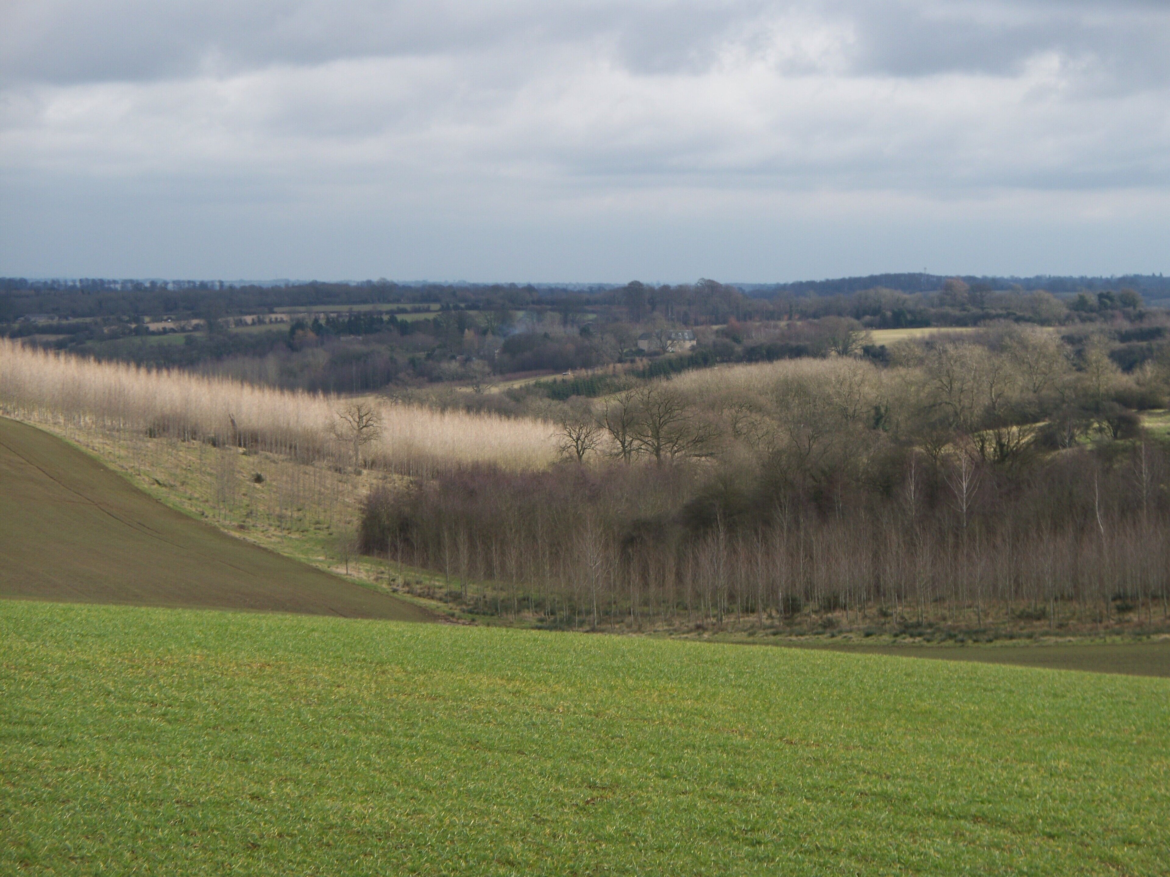 A view down the valley Berryfield Farm can be discerned in the middle of the image. A great deal of recent planting is obvious.