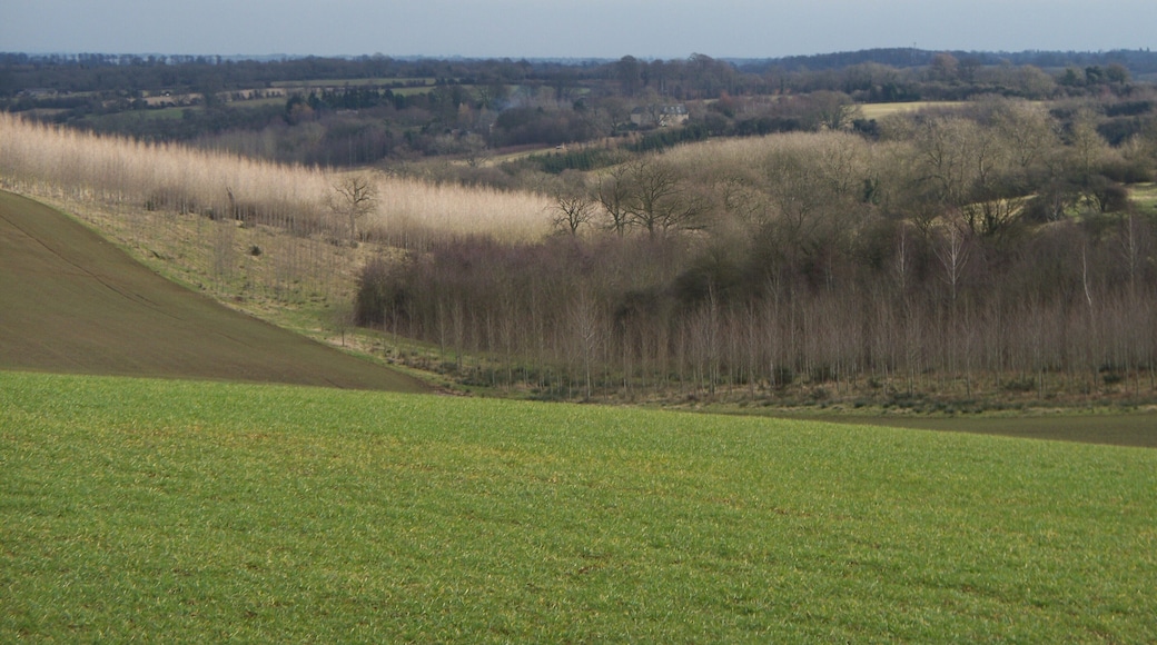 A view down the valley Berryfield Farm can be discerned in the middle of the image. A great deal of recent planting is obvious.