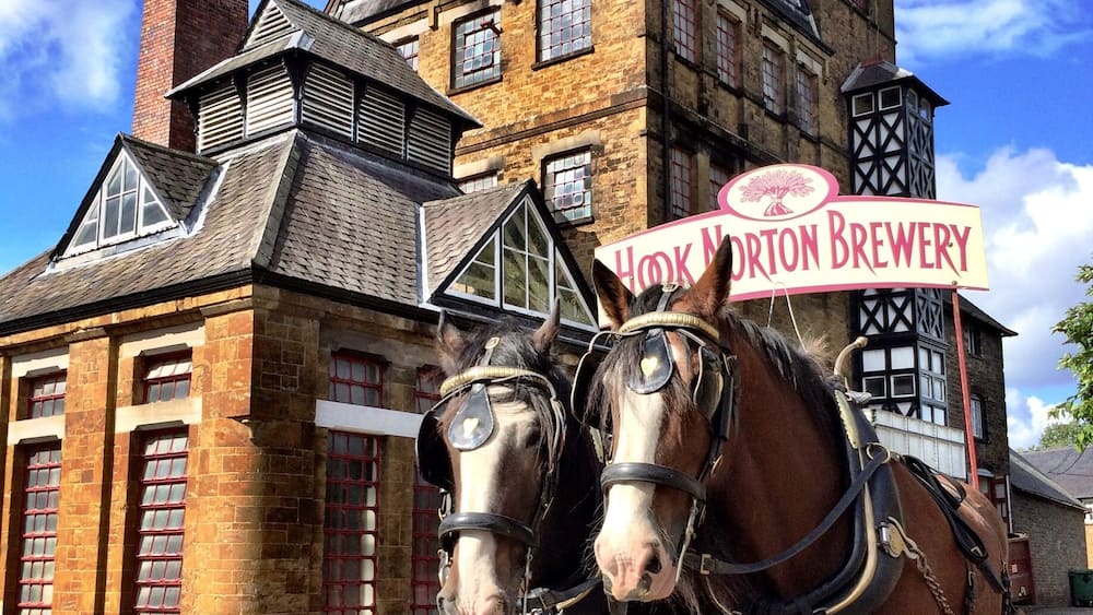 Deux chevaux tirent un chariot sur lequel est fixé un panneau indiquant « Brasserie Hook Norton », devant un bâtiment en briques surmonté d’une tour horlogère.