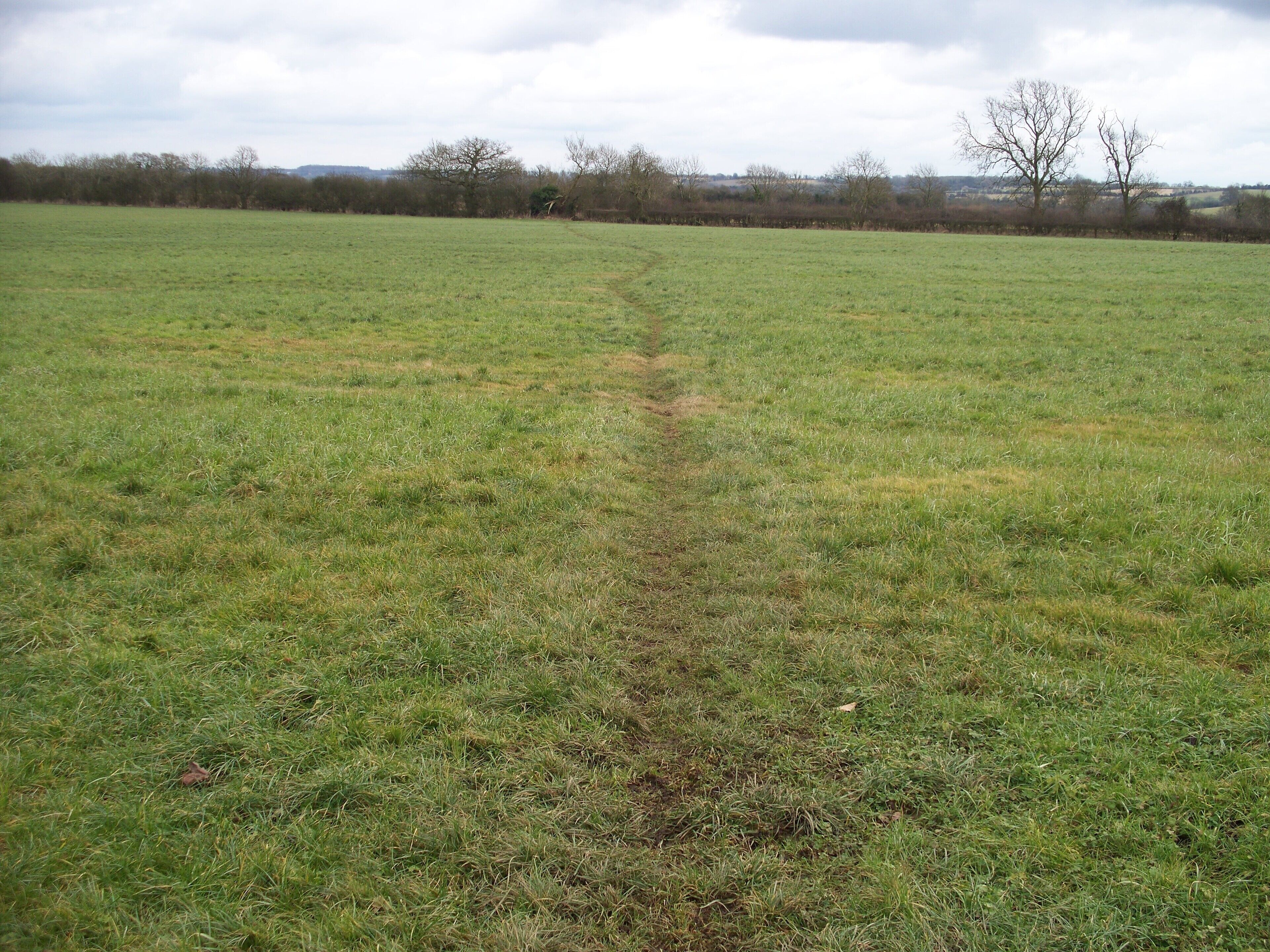 Across the field The footpath to Hook Norton runs straight (?) across this field.