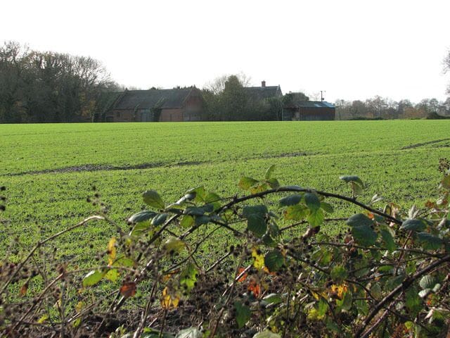 Surrounded by fields. Canal Farm, see also > 1053467 is located west of the village of Honing, surrounded by fields. A farm road, Canal Farm Lane > 1053473 provides access from Station Road, further to the north. This view was taken from the Weavers Way, a long-distance footpath which links Cromer with Great Yarmouth; the path has a length of 90 kilometres and passes through the Norfolk Broads.