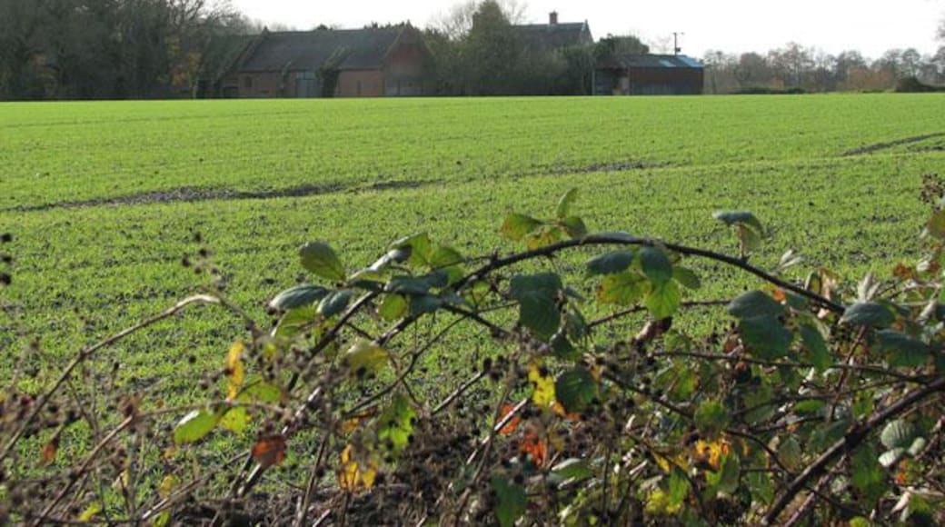 Surrounded by fields. Canal Farm, see also > 1053467 is located west of the village of Honing, surrounded by fields. A farm road, Canal Farm Lane > 1053473 provides access from Station Road, further to the north. This view was taken from the Weavers Way, a long-distance footpath which links Cromer with Great Yarmouth; the path has a length of 90 kilometres and passes through the Norfolk Broads.